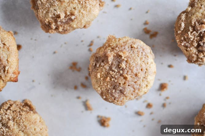 Whole Wheat Coffee Cake Muffins I howsweeteats.com