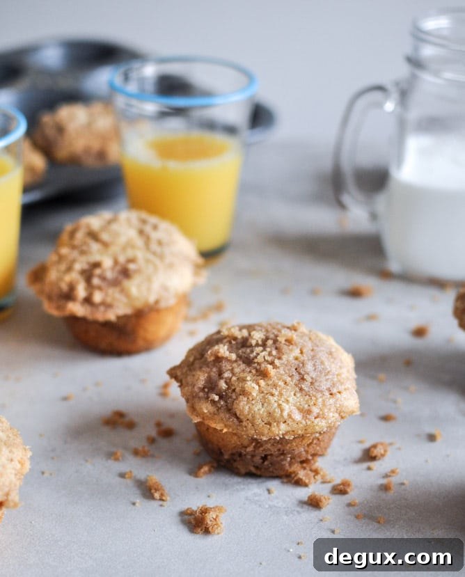 Whole Wheat Coffee Cake Muffins I howsweeteats.com