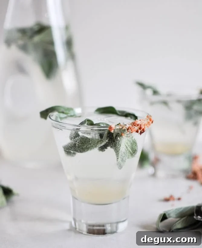 Honey Sage Gin Fizz I howsweeteats.com