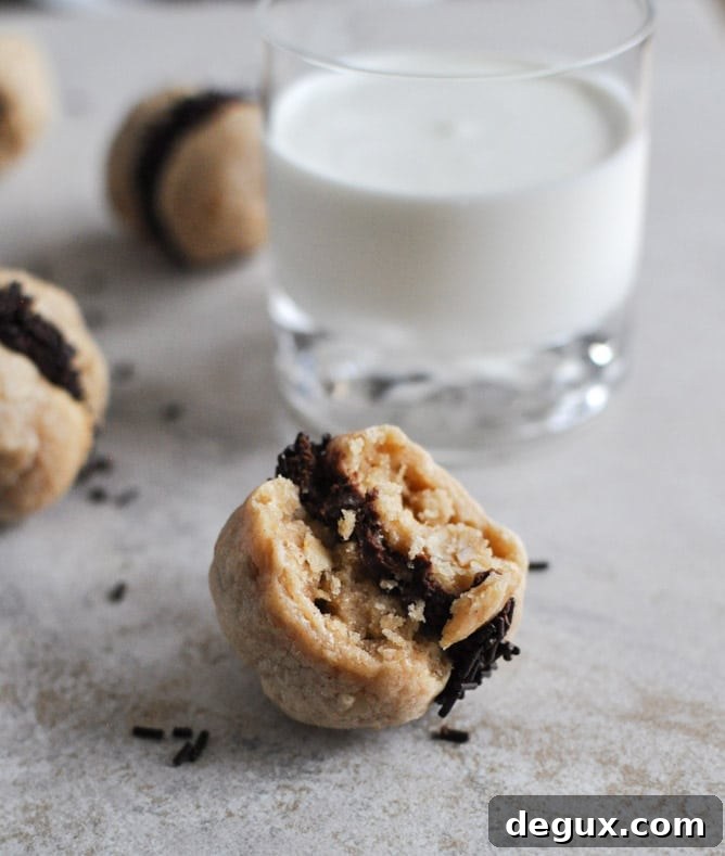 Fat Little Peanut Butter Oatmeal Cookie Sandwiches with Chocolate Ganache I howsweetetas.com