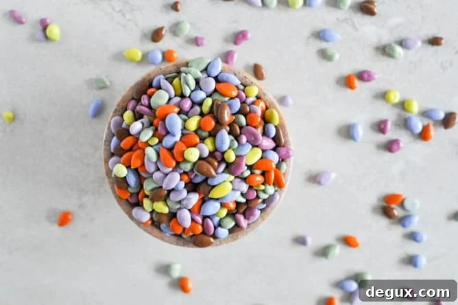 No-Bake Double Chocolate Peanut Butter Snack Bites