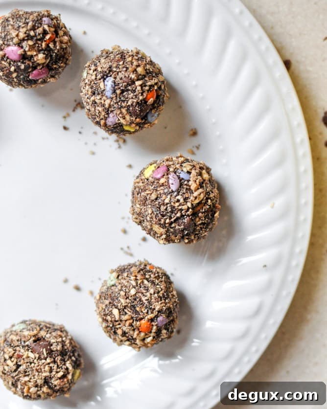 No-Bake Double Chocolate Peanut Butter Snack Bites