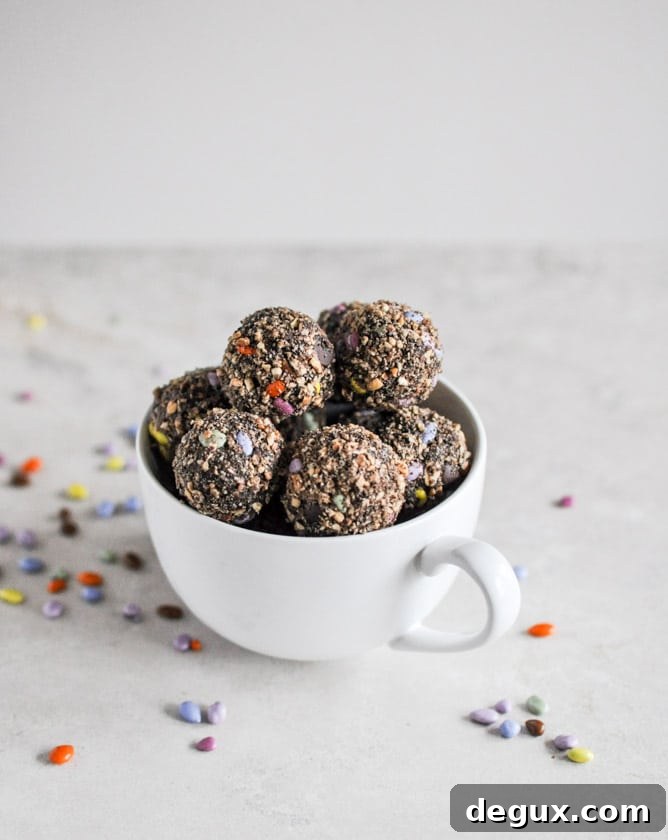 No-Bake Double Chocolate Peanut Butter Snack Bites