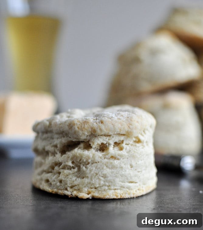 beerbiscuits-2 img 30249 4