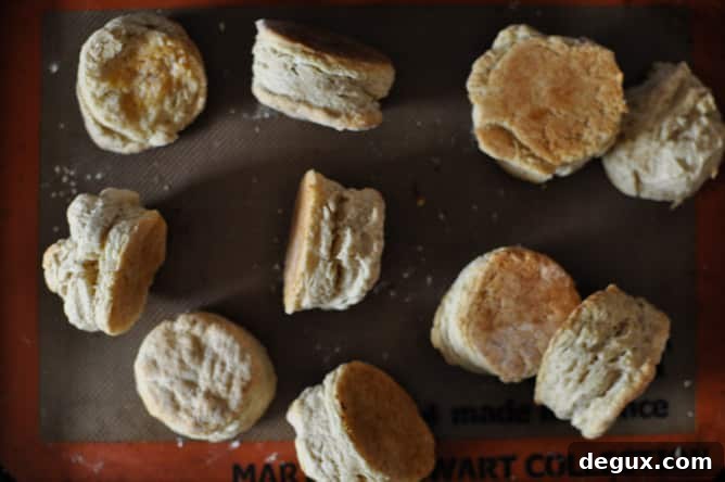 beerbiscuits-3-2 img 30249 7