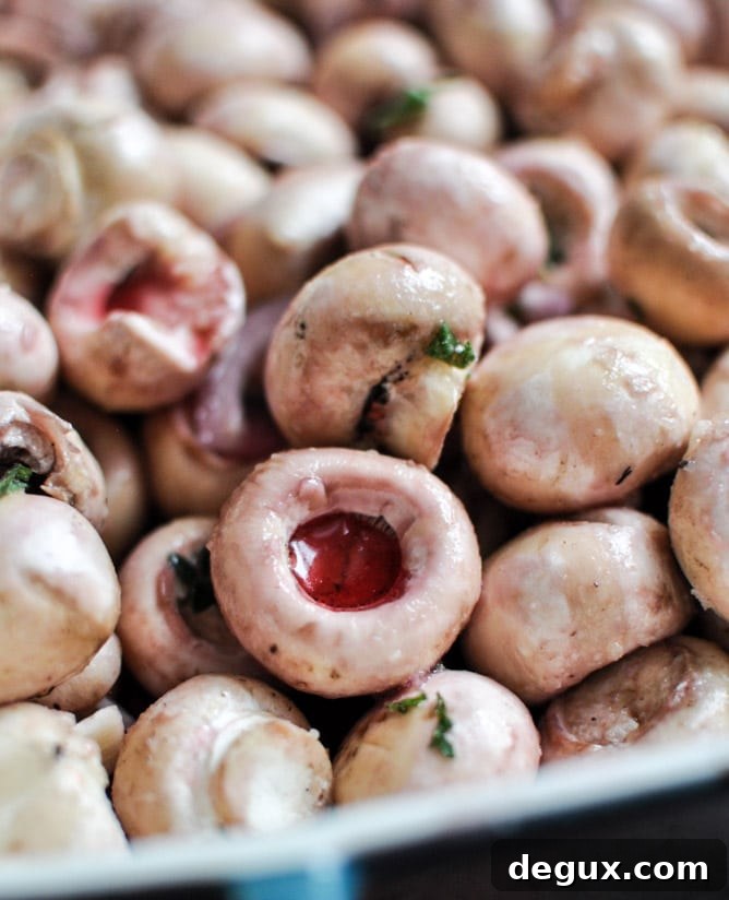 Red Wine Roasted Mushrooms on Goat Cheese Garlic Toasts I howsweeteats.com