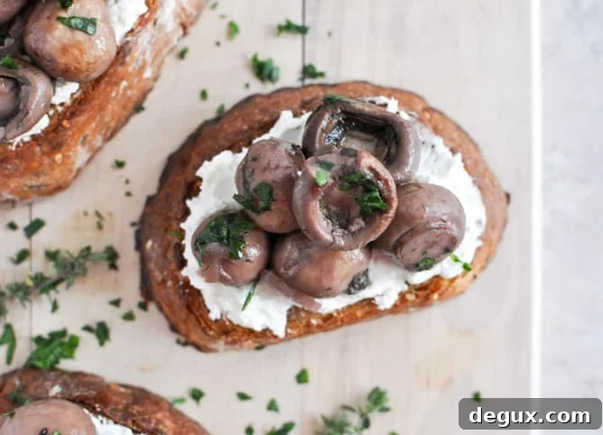 Red Wine Roasted Mushrooms on Goat Cheese Garlic Toasts I howsweeteats.com