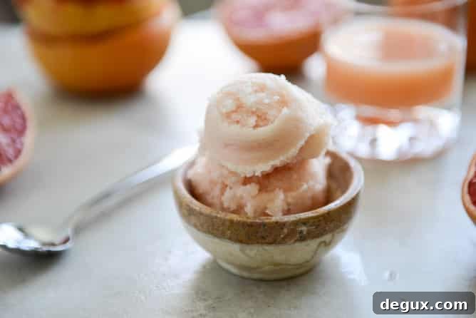 Grapefruit Sorbet I howsweeteats.com