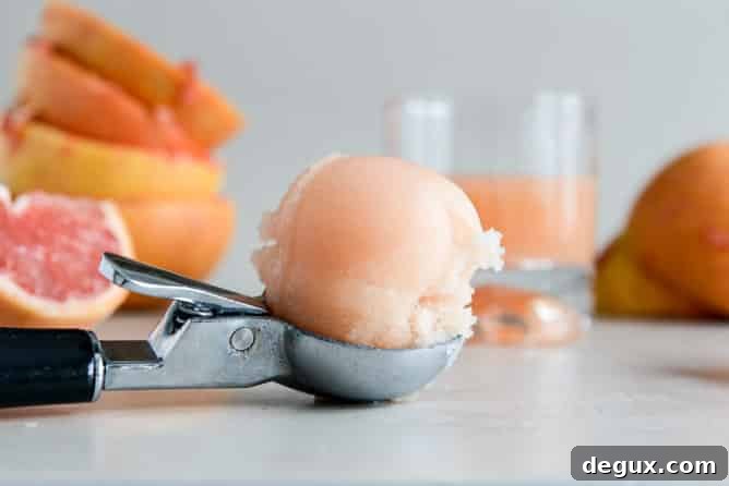 Grapefruit Sorbet I howsweeteats.com