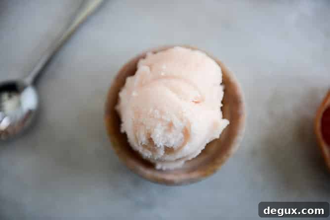 Grapefruit Sorbet I howsweeteats.com
