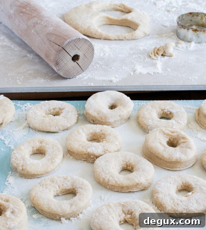 Chocolate Frosted Cake Donuts I howsweeteats.com