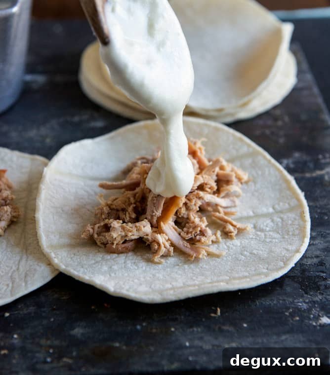 Smoky Roasted Chicken Tacos with Spicy Goat Cheese Queso Smoky Roasted Chicken Tacos with Spicy Goat Cheese Queso