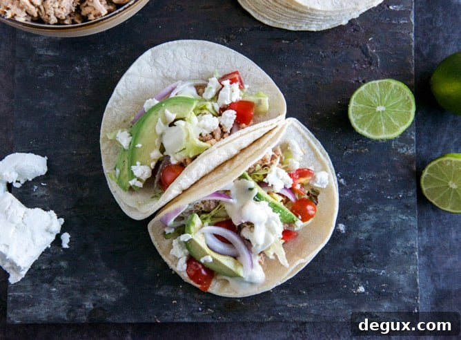 Smoky Roasted Chicken Tacos with Spicy Goat Cheese Queso Smoky Roasted Chicken Tacos with Spicy Goat Cheese Queso
