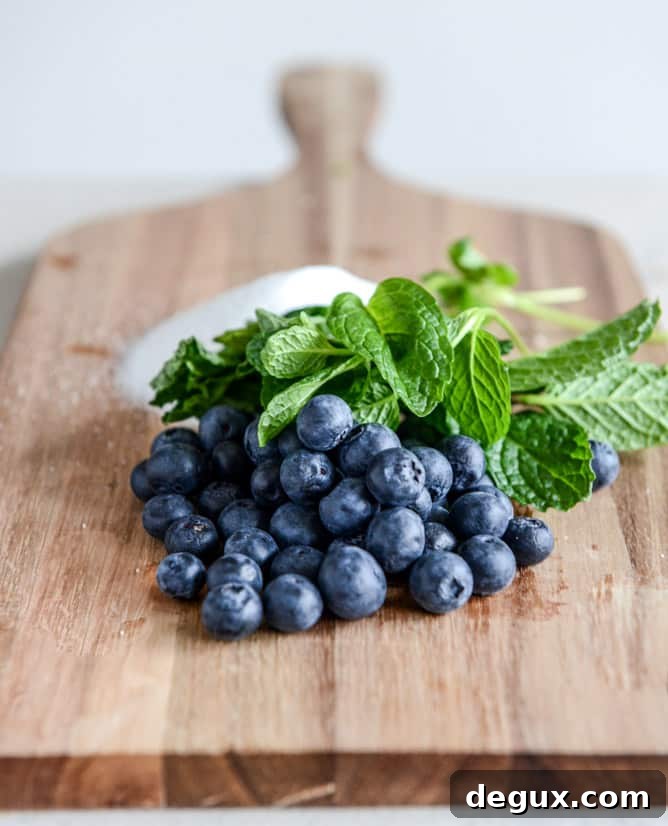 Blueberry Mint Juleps Blueberry Mint Juleps