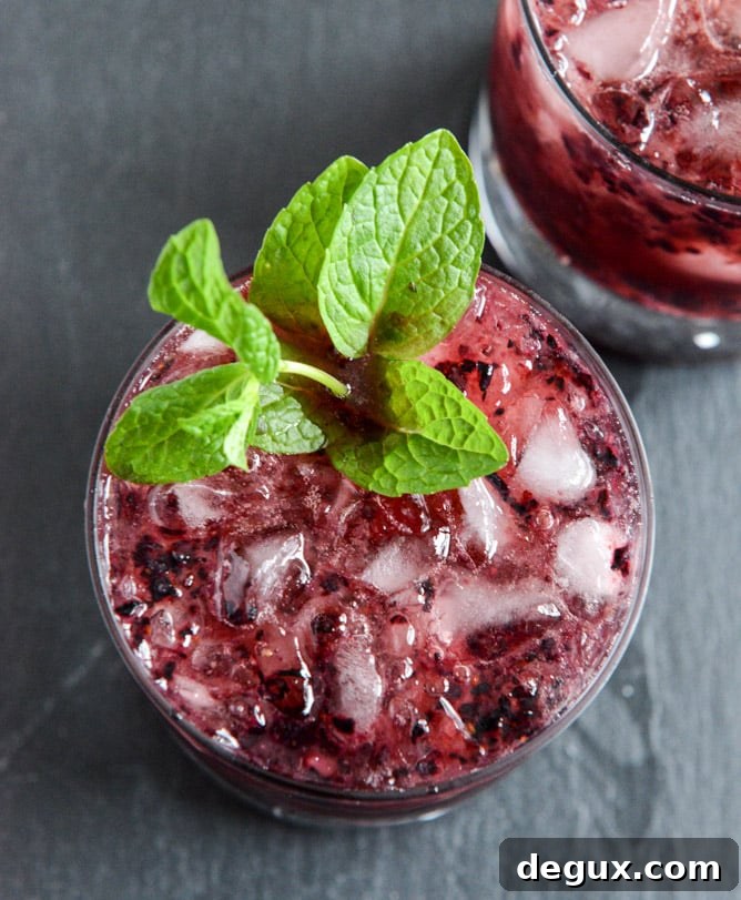 Blueberry Mint Juleps Blueberry Mint Juleps