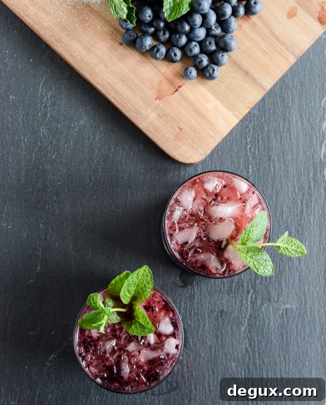 Blueberry Mint Juleps Blueberry Mint Juleps