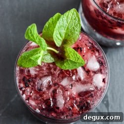 Blueberry Mint Juleps Recipe: Refreshing Summer Cocktail Guide 2 Blueberry Mint Juleps