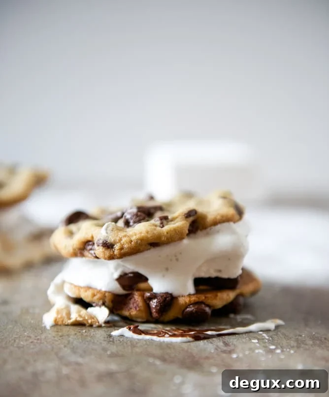 Chocolate Chip Cookie Peanut Butter S'mores Chocolate Chip Cookie Peanut Butter S'mores