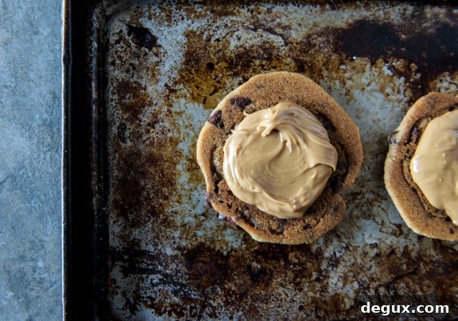 Chocolate Chip Cookie Peanut Butter S'mores Chocolate Chip Cookie Peanut Butter S'mores