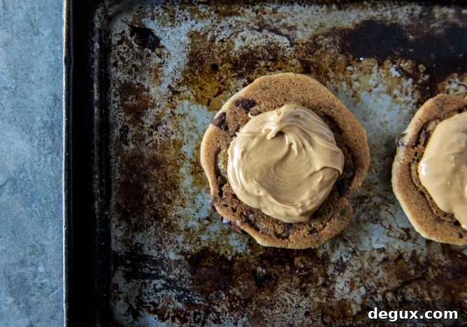 Chocolate Chip Cookie Peanut Butter S'mores Chocolate Chip Cookie Peanut Butter S'mores