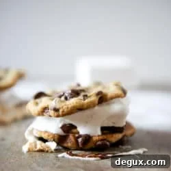 Chocolate Chip Cookie Peanut Butter S'mores with Vanilla Bean Marshmallows 2 img 31577 7