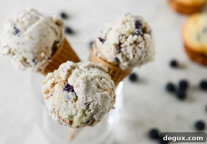 Blueberry Muffin Ice Cream Blueberry Muffin Ice Cream