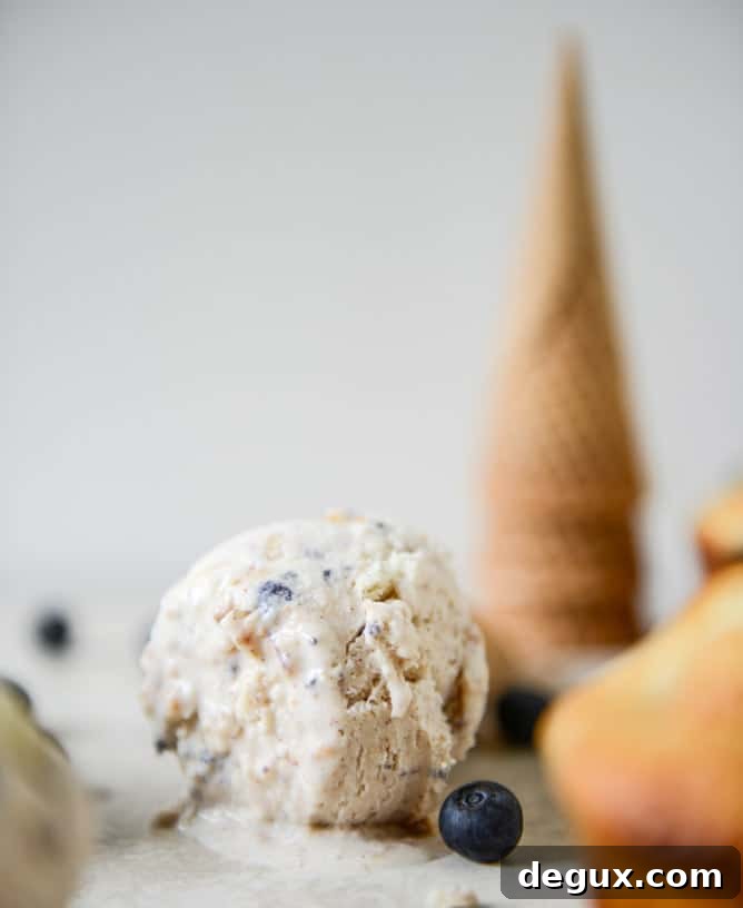 Blueberry Muffin Ice Cream Blueberry Muffin Ice Cream