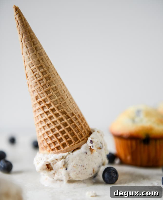 Blueberry Muffin Ice Cream Blueberry Muffin Ice Cream