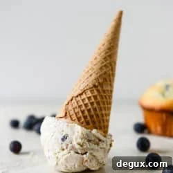 Blueberry Muffin Ice Cream