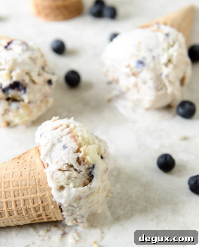Blueberry Muffin Ice Cream Blueberry Muffin Ice Cream