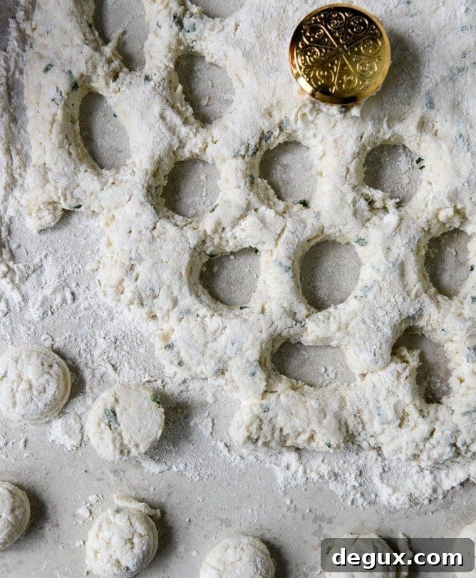 Mini Cream Cheese + Chive Biscuits I howsweeteats.com Mini Cream Cheese + Chive Biscuits I howsweeteats.com
