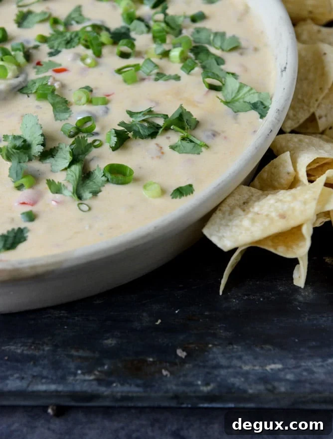 Spicy Beer Queso with Chorizo and Black Beans I howsweeteats.com