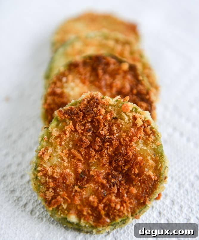 Crispy Zucchini Grilled Cheese with Dijon Horseradish Aioli Crispy Zucchini Grilled Cheese with Dijon Horseradish Aioli