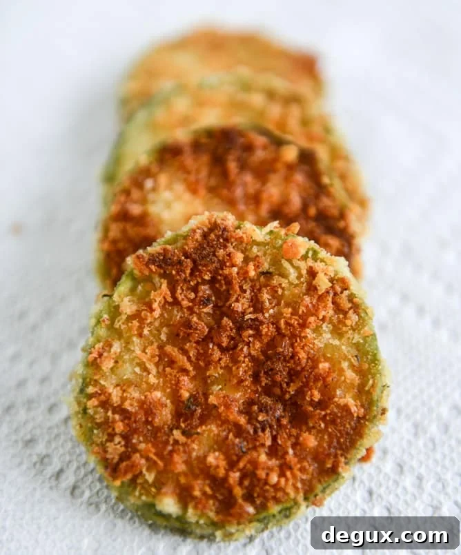 Crispy Zucchini Grilled Cheese with Dijon Horseradish Aioli Crispy Zucchini Grilled Cheese with Dijon Horseradish Aioli