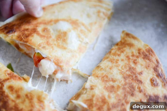 Chipotle Beer Shrimp Quesadillas with Spicy Guac I howsweeteats.com