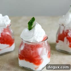 Boozy Watermelon Granitas