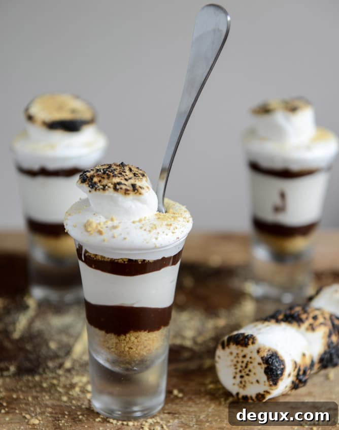 No Bake S'mores Cheesecakes I howsweeteats.com