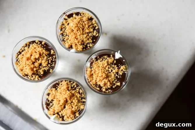 No Bake S'mores Cheesecakes I howsweeteats.com