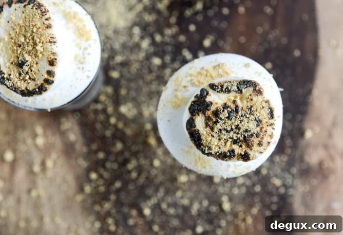 No Bake S'mores Cheesecakes I howsweeteats.com