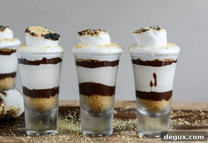 No Bake S'mores Cheesecakes I howsweeteats.com