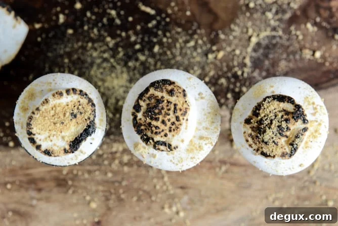 No Bake S'mores Cheesecakes I howsweeteats.com