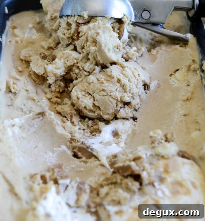 Fluffernutter Chip Ice Cream I howsweeteats.com Fluffernutter Chip Ice Cream I howsweeteats.com