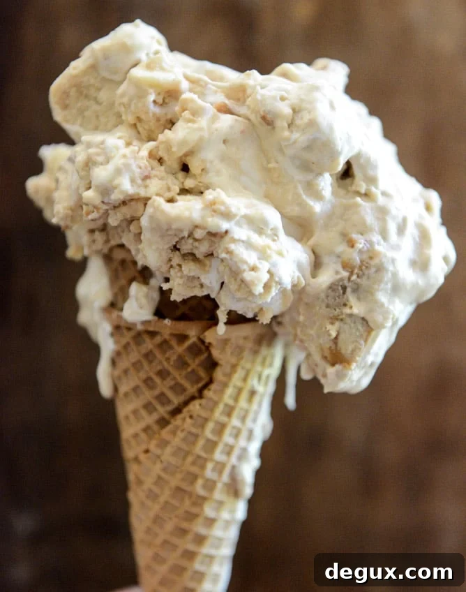 Fluffernutter Chip Ice Cream I howsweeteats.com Fluffernutter Chip Ice Cream I howsweeteats.com