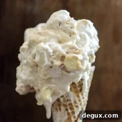 Fluffernutter Ice Cream with Peanut Butter Cup Chips 2 img 33377 5