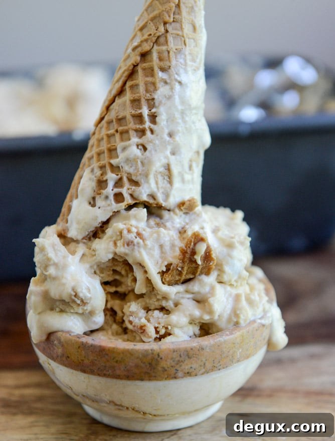 Fluffernutter Chip Ice Cream I howsweeteats.com Fluffernutter Chip Ice Cream I howsweeteats.com