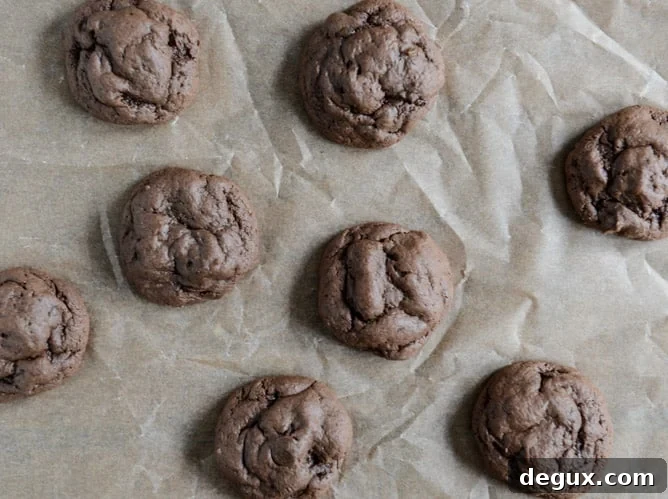 Double Chocolate Cheesecake Cookies I howsweeteats.com