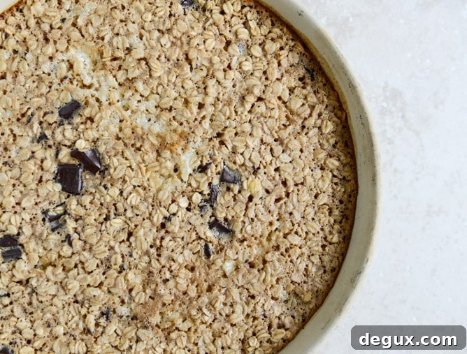 Dark Chocolate Chunk Cheesecake Baked Oatmeal