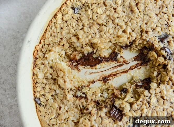 Dark Chocolate Chunk Cheesecake Baked Oatmeal