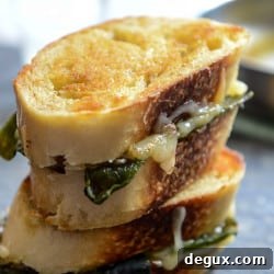 Sourdough Grilled Cheese with Roasted Poblanos, Smoked Cheddar & Curried Brown Butter 2 img 33977 5
