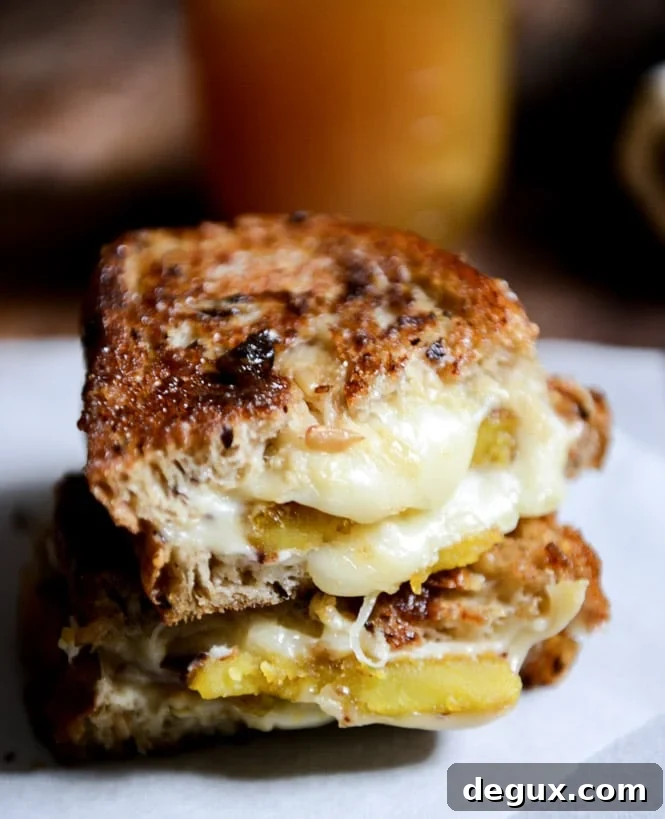 Caramelized Butternut Squash, Roasted Garlic + Coconut Butter Grilled Cheese I howsweeteats.com